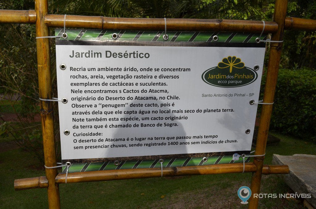 Jardim Desértico